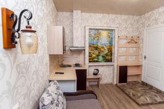 Апарт-отели Apartments Panorama Винница Апартаменты-студио без окон-6