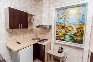 Апарт-отели Apartments Panorama Винница Апартаменты-студио без окон-7